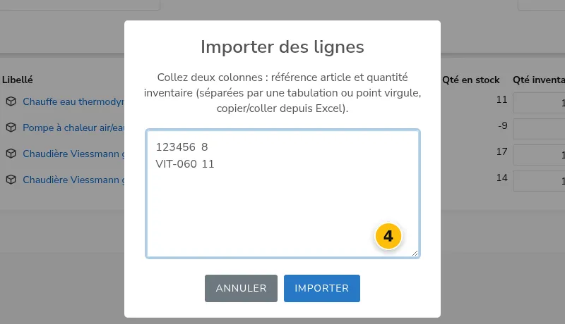 Fenêtre d'import de lignes par copier/coller